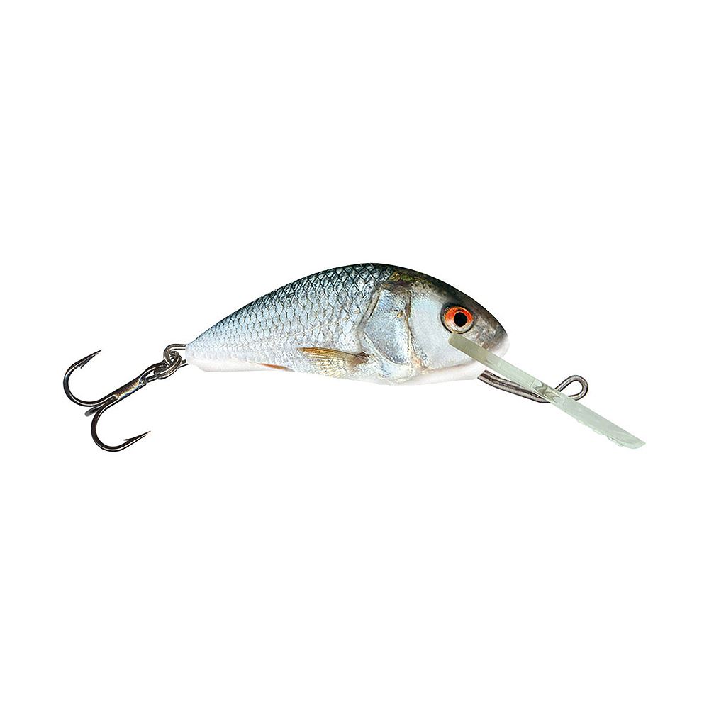 Bass Store Italy -Salmo Hornet