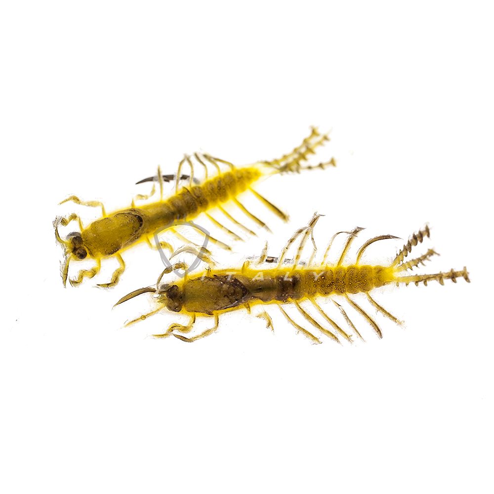 Bass Store Italy Creme Lures Trout Bugs