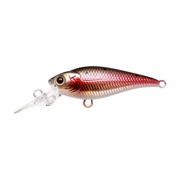 135 TO Shad LUCKY CRAFT Kelly J