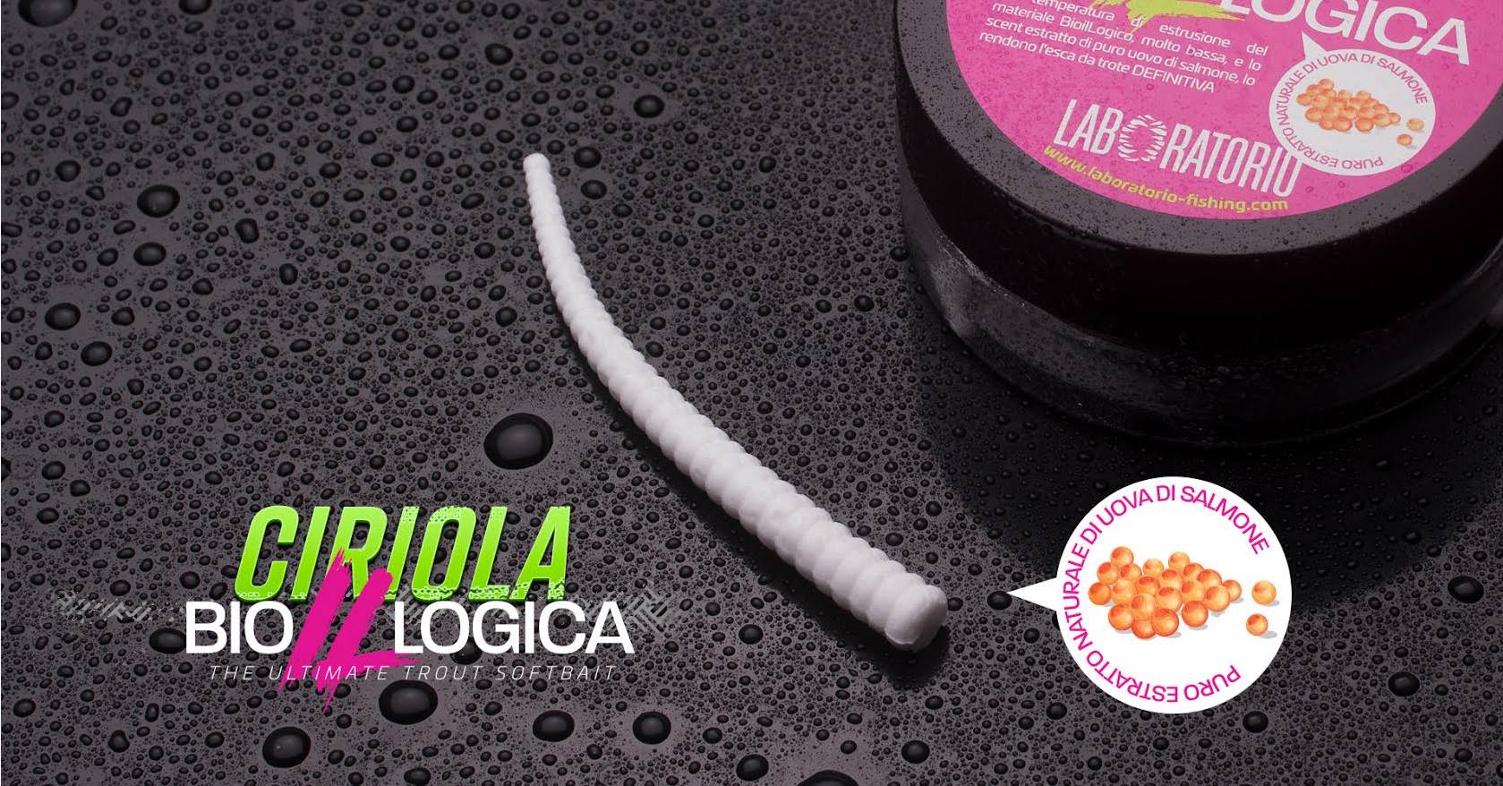 Laboratorio Ciriola Bioillogica