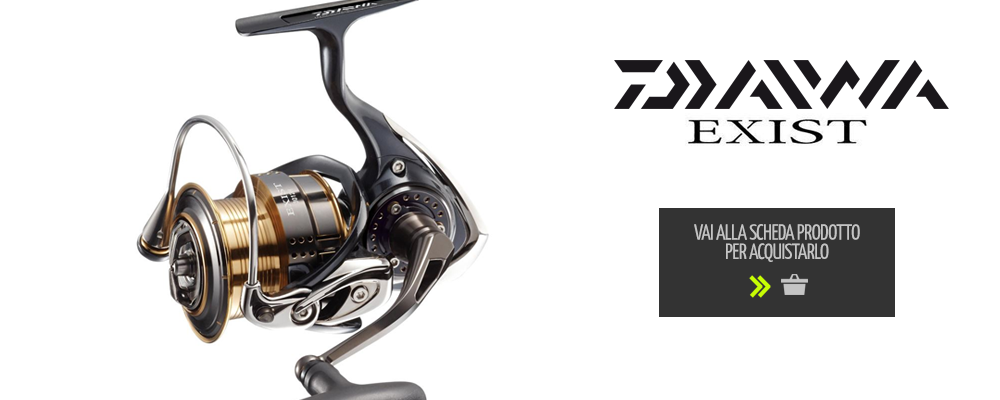 daiwa exist